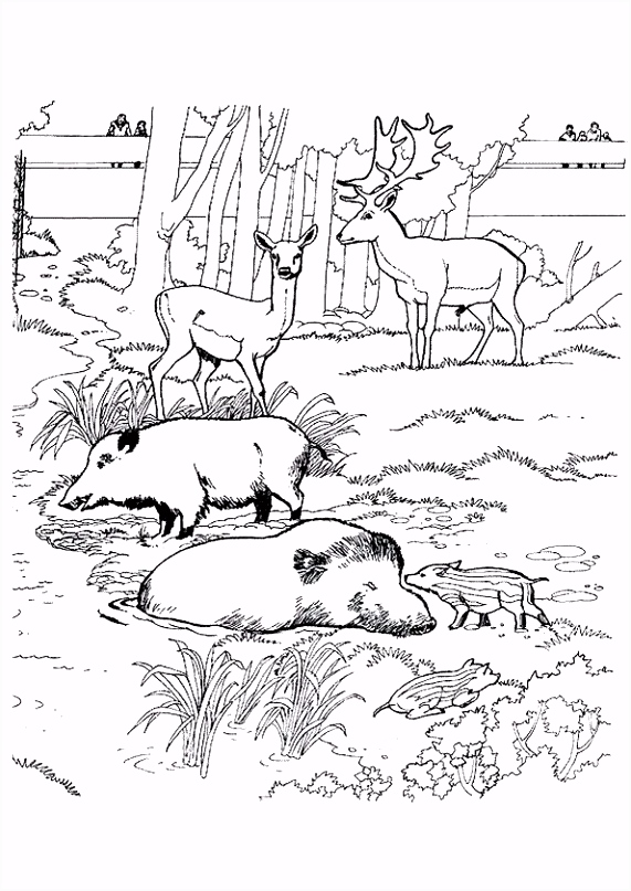 Kleurplaten Zoop Dierentuin Kleurplaten Zoo Kleurplaat Diergaarde Blijdorp L8dy65waq4 J5lcm4kkds