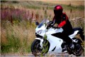 9 Mingoville Engelse Les