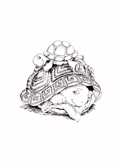 Nieuw Franklin De Schildpad Kleurplaten Real Sea Turtles Swimming In Water T6iq34odn3 Zsiws6cfe6