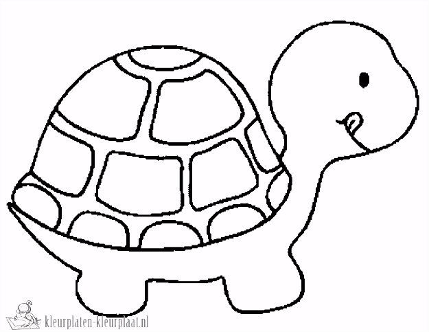 Nieuw Franklin De Schildpad Kleurplaten Schildpad Kleurplaten Beste Van Kleurplaten Schildpad – Werkbladen R7ut24kfl4 Xsrp0vbgeu