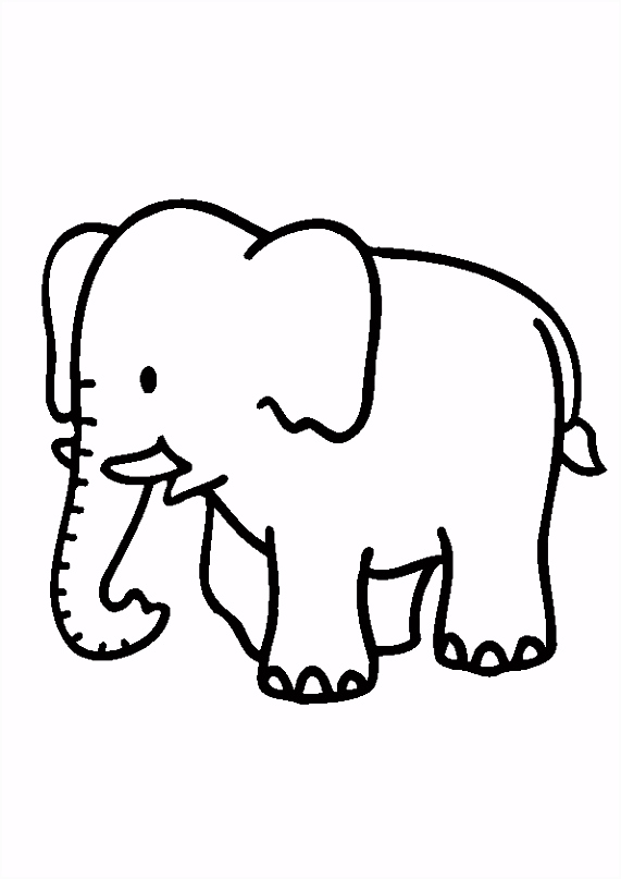 Olifant Kleurplaten Kleurplaat Olifantje Google Zoeken Bb Pinterest K5ia92uaj6 Msdw56orts