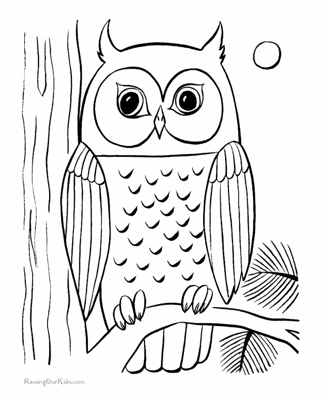 Owl Kleurplaten Camping Coloring New 126 Best Vakantie Kleurplaten B3mb66axh3 Cmdqvsead4