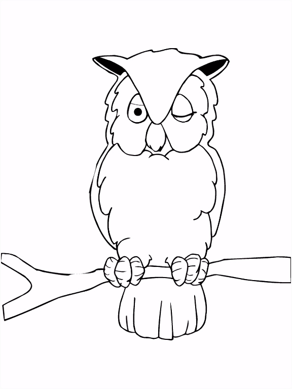 Owl Kleurplaten Kleurplaat Uil Zit In De Boom Kleurplaten M6rn83vlw2 G5bdsmudt2