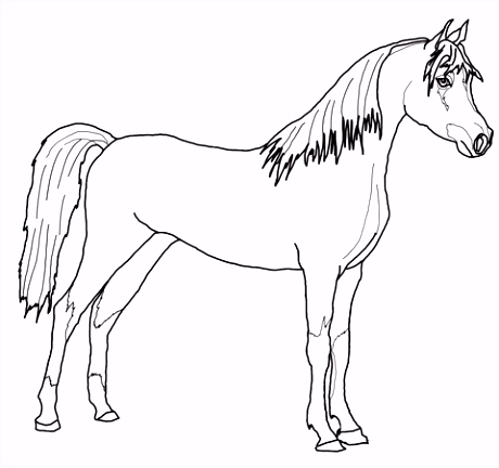 Paard Kleurplaten Arabisch Paard Kleurplaat E7qf78sda3 Ihrt4vnxxu