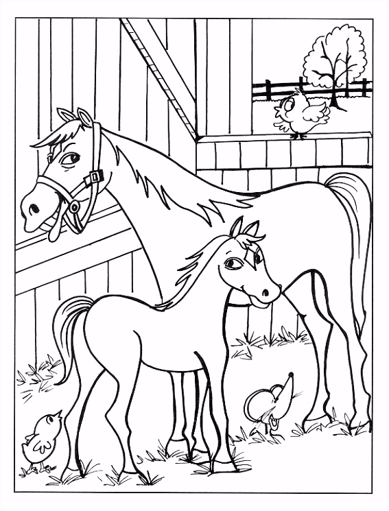 Paard Kleurplaten Kleurplaat Paard Paarden Info J1mm23csb3 Aujwh2jtf5