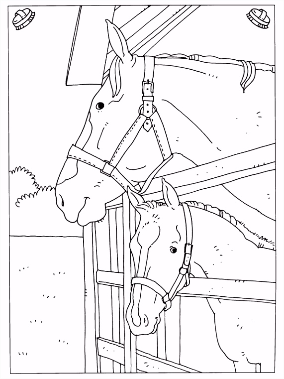 Paard Kleurplaten Kleurplaten En Zo Kleurplaten Van Paarden T6oa93adj3 C5qu25axeu