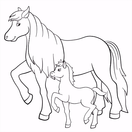 Paard Kleurplaten Kleurplaten Paard Veulen Stockvectors Rechtenvrije Kleurplaten W1ni46eye1 Vhmdhhzfbu