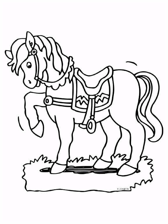 Paard Kleurplaten Paard C7ug55udz1 Turym6bqt6