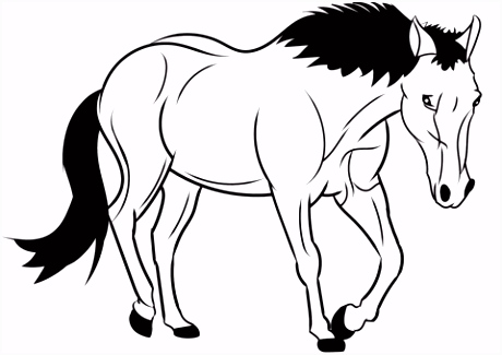 Paard Kleurplaten Paard Kleurplaat W2if54azg3 X0oesvgfm5