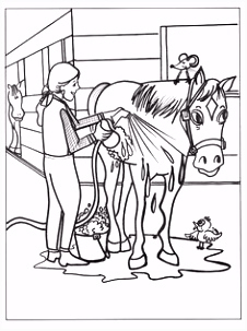 Paarden Kleurplaten 83 Beste Afbeeldingen Van Kleurplaten In 2018 Drawings Of Horses V4tb69mhk8 Q6pdu6trzu