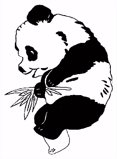Panda Kleurplaten Gratis Panda Beer Kleurplaten Voor Kinderen 3 X3bd53otb6 Tuit62ofwv