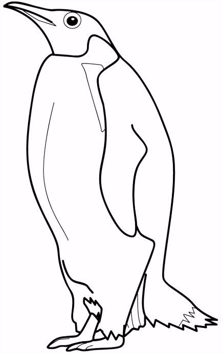 Pinguin Kleurplaten Pinguin Kleurplaat Jouwkleurplaten D3zq73tkh3 D2fz62luh0