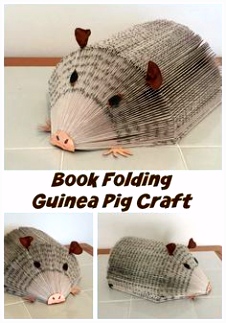 Pocketboek Egeltje the 50 Best Critters Images On Pinterest In 2018 I8ye28thu5 Puuvhucxm5