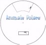 10 Pooldieren Wallpapers