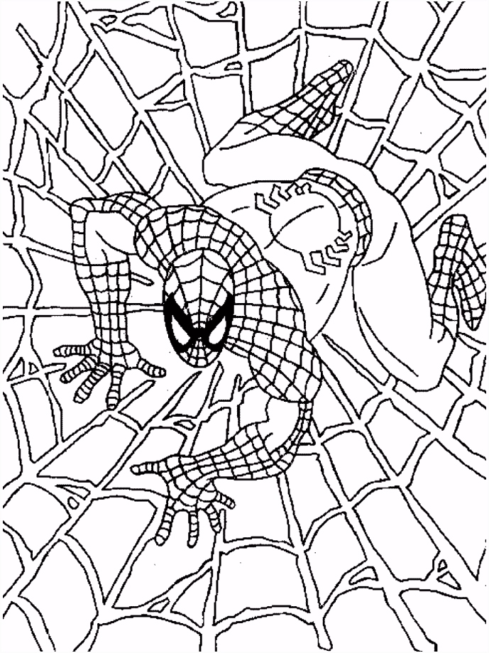 Spiderman Kleurplaten Gratis Spiderman Kleurplaten Voor Kinderen H8jf21hiw2 E0yjv2hveh