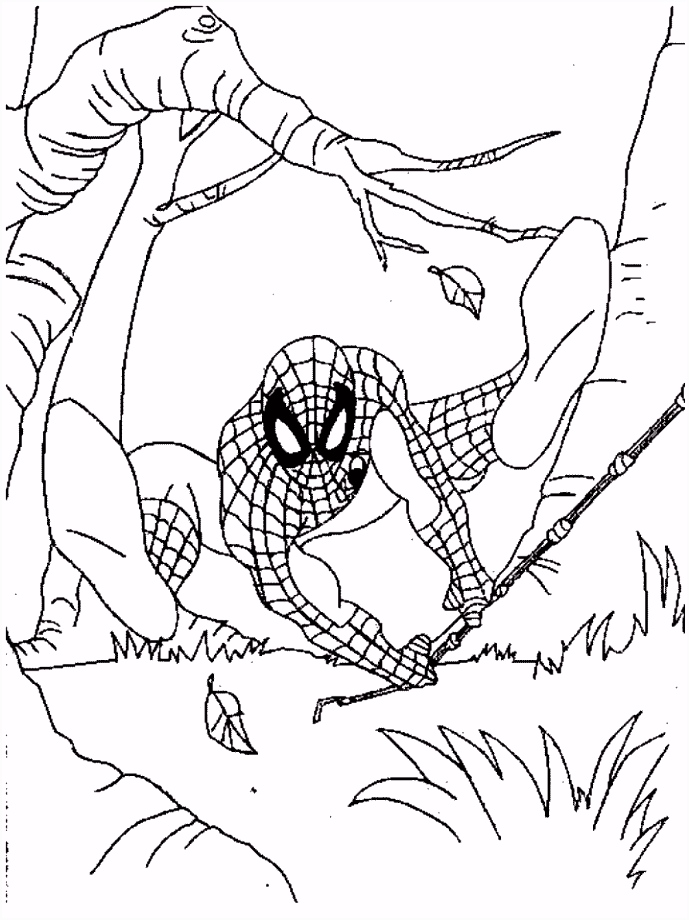 Spiderman Kleurplaten Kids N Fun A1ik58tfr9 E6el62uqvm