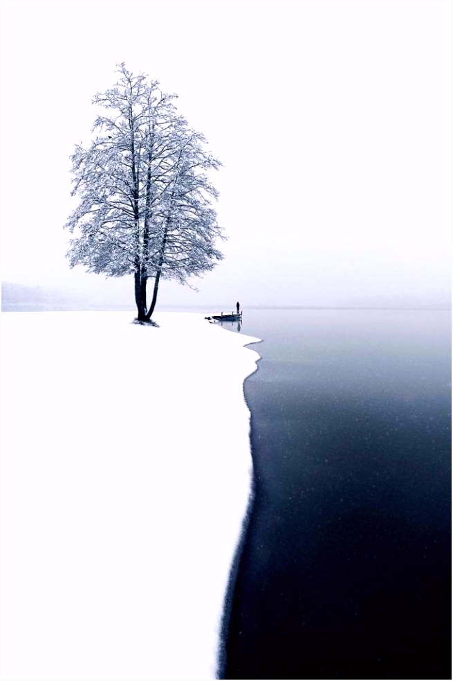 55 Fabulous Snow of This Winter Season