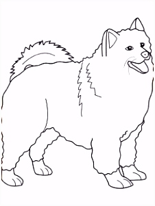 Teken Kleurplaten Hoe Teken Je Een Hond Door 40 Kleurplaat Hondje Huis Decoreren Idee N K5el62h5f5 Kuyh56pll5