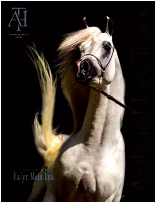 Vol46 No10 Arabian Horse Times by Arabian Horse Times issuu