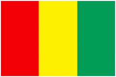 Vlaggen En Landen Kleuren Vlag Van Guinee E5va56nrr6 Murn2sudg2
