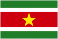 Vlaggen En Landen Kleuren Vlag Van Suriname D5ms16ile3 O4vnsmwjks