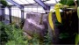 7 Vlindertuin orchideeenhoeve