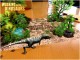 8 Walking with Dinosaurs 3d Filmpje