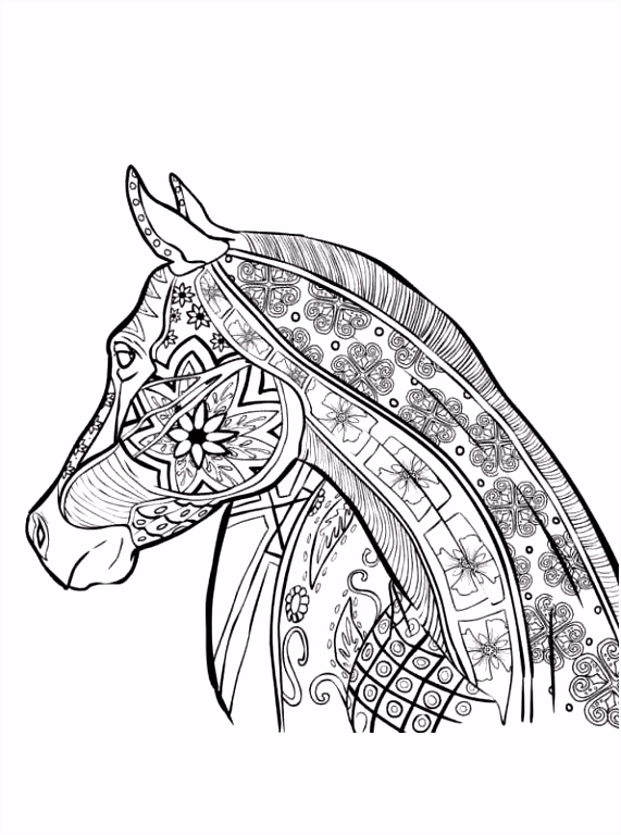 Xxl Kleurplaat Op Rol Coloring Page Animals for Teens and Adults Dieren Voor Volwassenen S6od42bgu1 Xsxd52uxc2