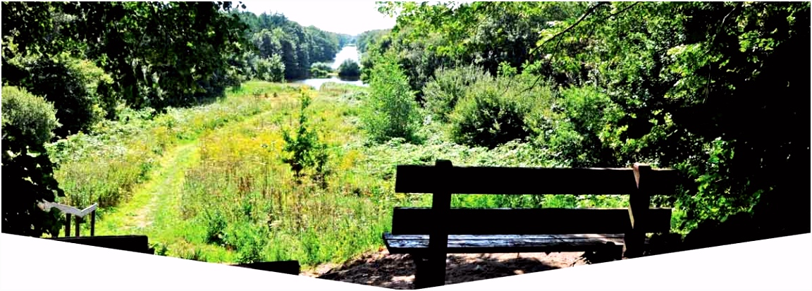 Zomer In Flevoland Natuur Recreatiekrant Flevoland Augustus September 2015 H3vt89vka5 Iumf50xtf6