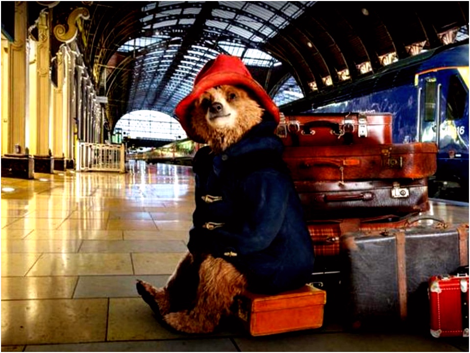 Beertje Paddington Film Books and Movies for Kids that are Set In London A5rx31gqt2 V4pvs4nsru