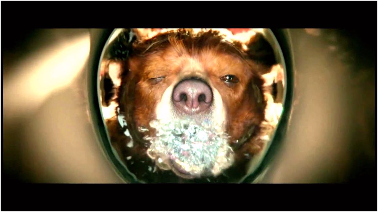 Beertje Paddington Film Paddington Bathroom Clip the Weinstein Pany T9ee63wpe3 Mmizuucjp6