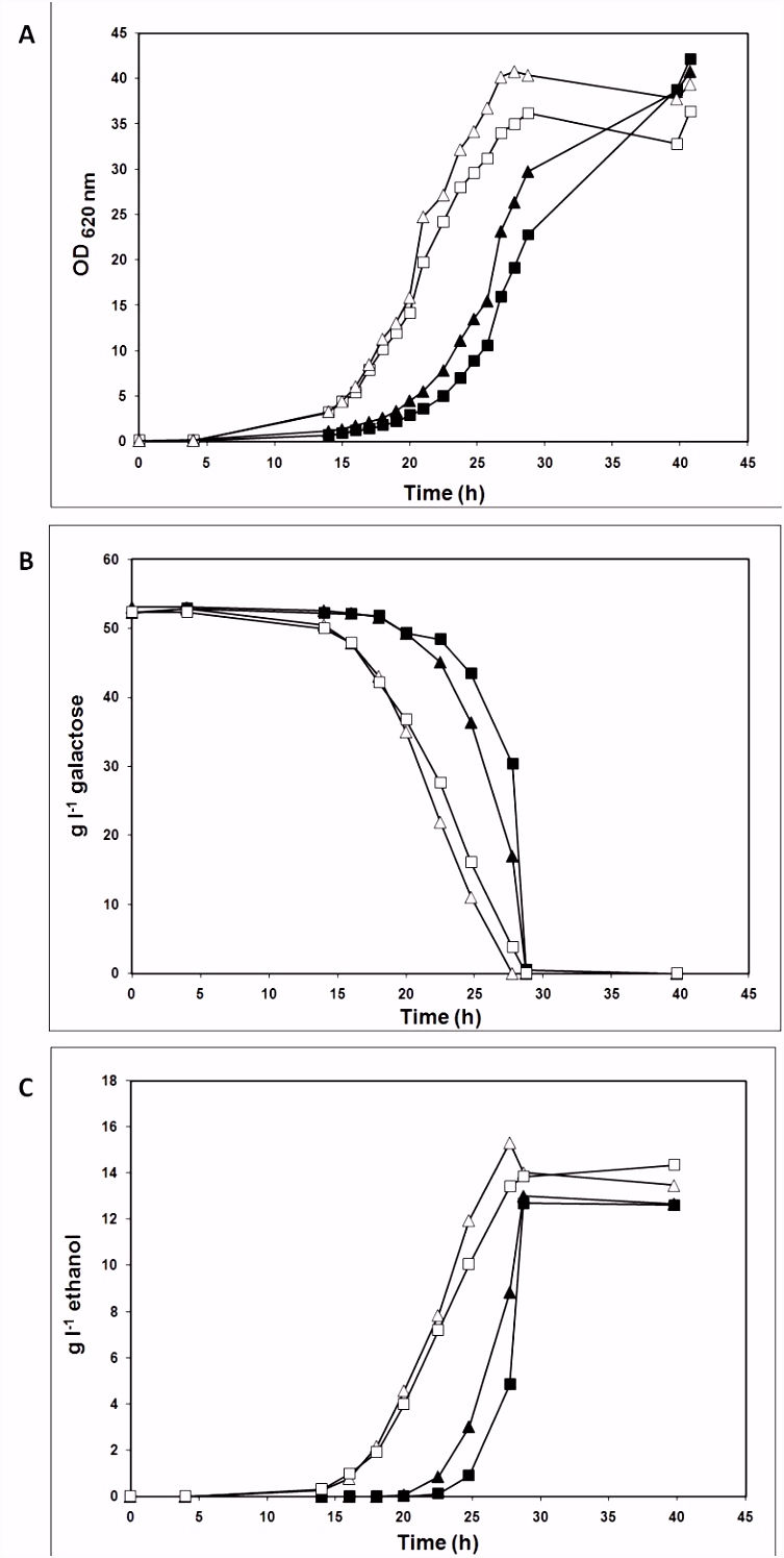 PGM2 overexpression improves anaerobic galactose fermentation in