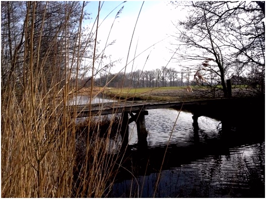 Blote Voetenpad Maart 2018 Foto van Het Blote Voeten Pad Opende