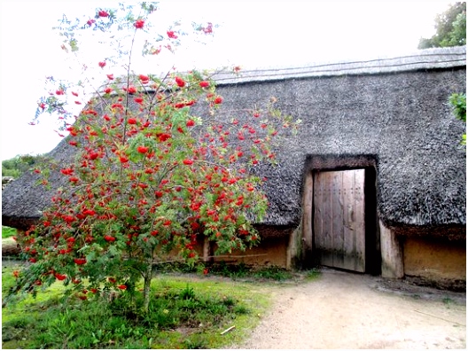 Hun house at entrance Picture of Hunebed Centrum Borger TripAdvisor
