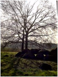 Hunebedden 7 best images