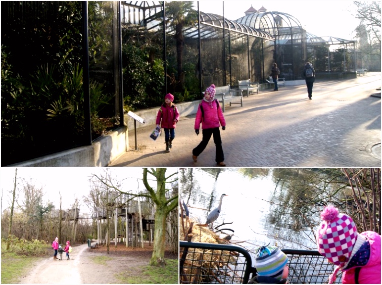 Visiter Amsterdam avec enfants tous les bons plans VOYAGE FAMILY
