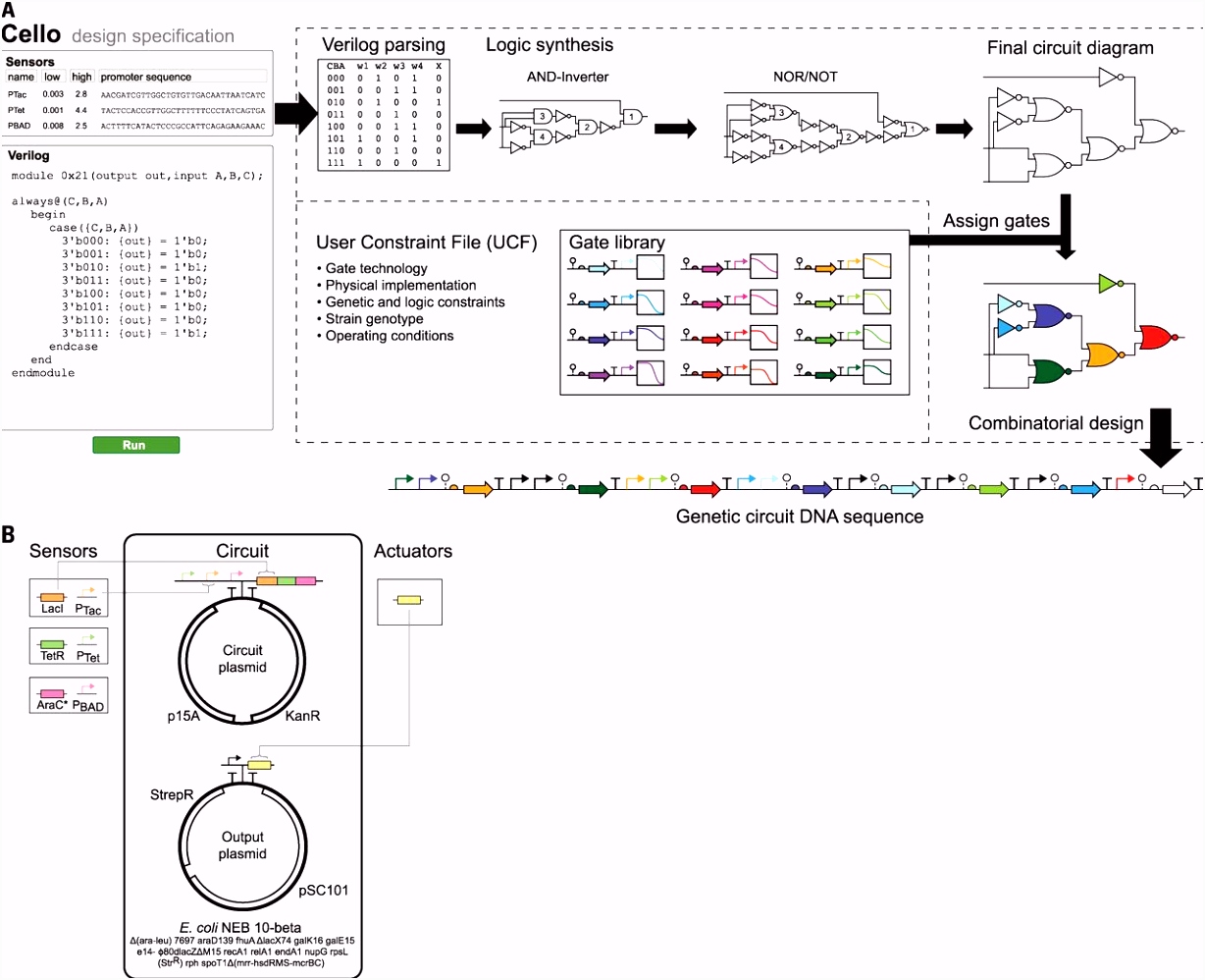 Kleurplaat Sinterklaas Colruyt Genetic Circuit Design Automation T7ul87tru1 Uuqnuunsku