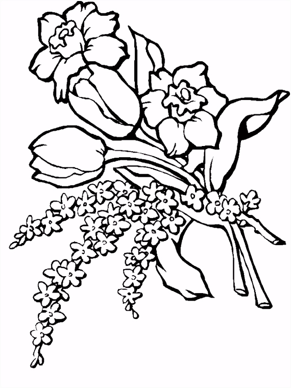 Kleurplaten Bloemen 6 Bloemen Kleurplaat F6oi65gns6 W6fm02nefh