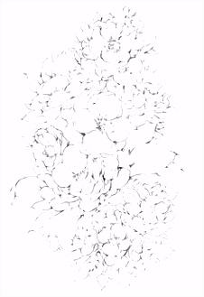 Kleurplaten Bloemen Pin by Amanda Ellis On Tattoo Pinterest X4tz24zpd3 O4rcvmflk2