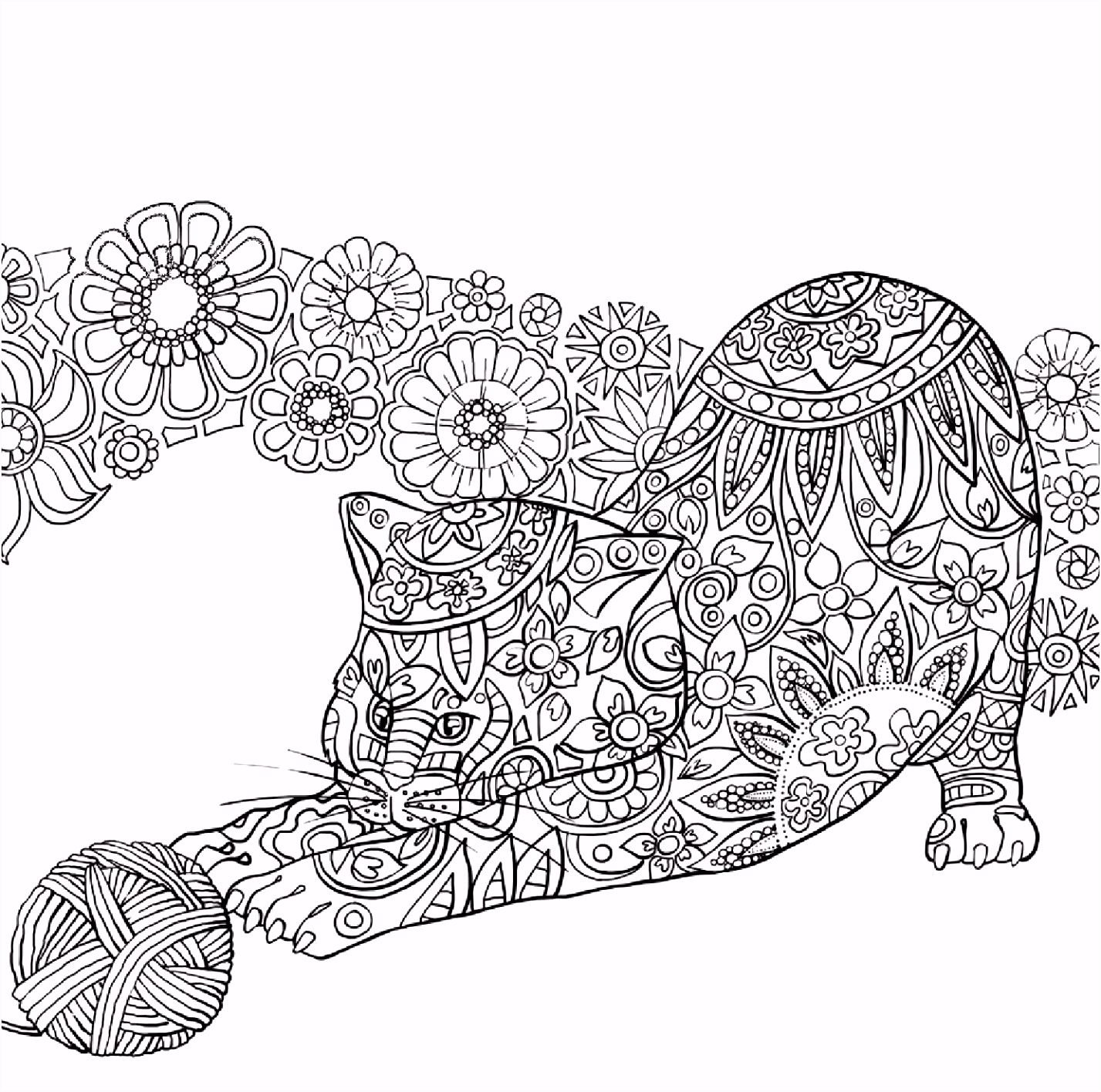 Kleurplaten Circus Easy and Fun Blastoise Coloring Page Y5ua52zwe3 Zups25hats