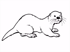 Kleurplaten Computer 14 Beste Afbeeldingen Van Inheemse Dieren Kleurplaten Coloring F6xw18tcc1 Smml22bkkm