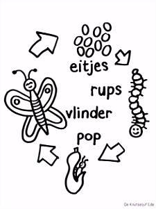 Kleurplaten Dagmar Stam 1126 Best Classroom Resources Images On Pinterest In 2018 T6vf56gxk7 Omfb5ulag2