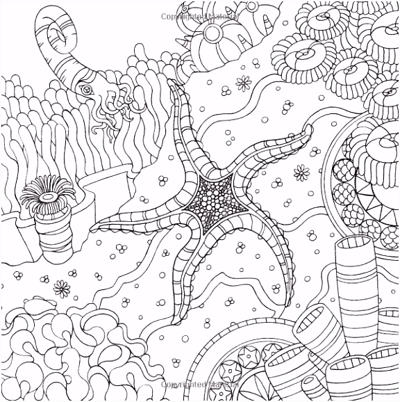 Kleurplaten Finding Dory Coloring Pages Sea New 52 Best Finding Dory Pinterest B7dl68cjh3 E5ncmvu4t4