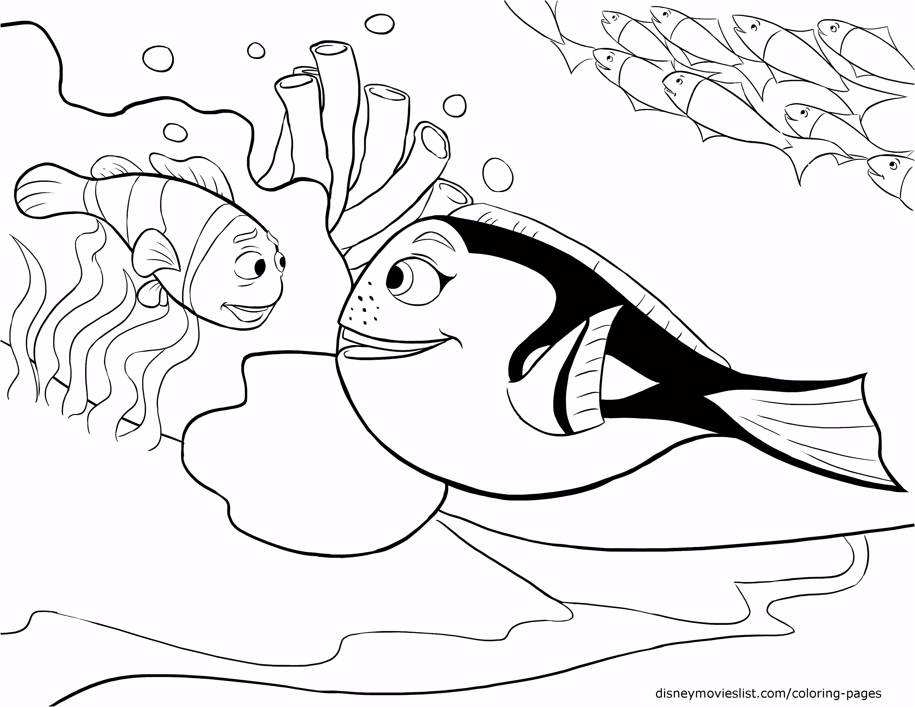 Kleurplaten Finding Nemo 38 Findet Nemo Ausmalbilder Scoredatscore U3qk93pkt1 W6rbv6buwu