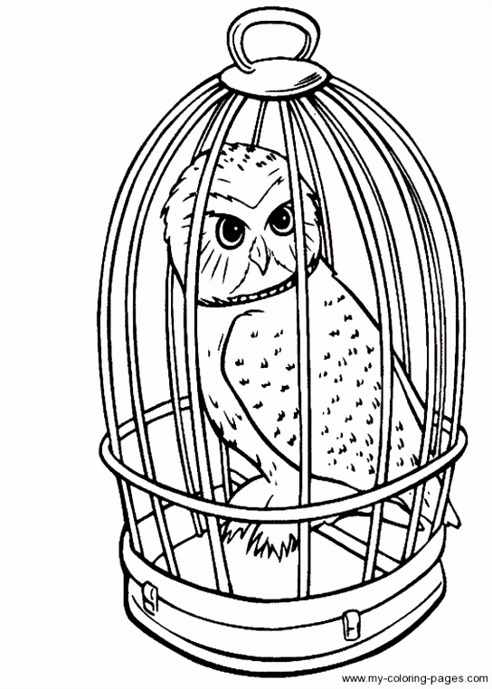 Kleurplaten Harry Potter En De Gevange Van Azkaban Harry Potter Coloring Pages Google Search Templates E9up12evc4 Wupk65vsw6