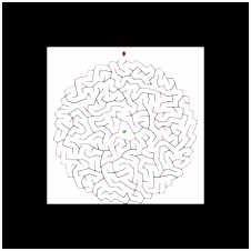 Kleurplaten Heidi Art Amazing Mazes 73 Beste Afbeeldingen Op Pinterest Amazing D6qd81umu3 Ihwc42eyl6