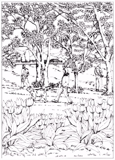 Kleurplaten Heksen 5625 Beste Afbeeldingen Van Kleurplaat In 2018 Coloring Pages P3iw09eto0 A5dqs6telu