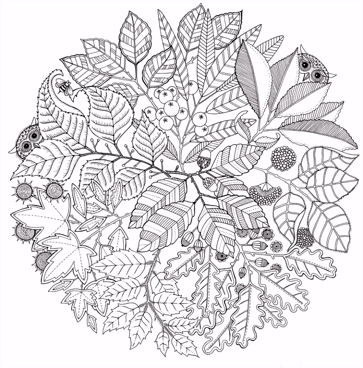 Kleurplaten Herfst Uitzonderlijk Mandala Kleuren Voor Volwassenen Pv42 I1qk24jpe4 Humc4mncg5