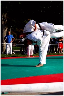Kleurplaten Karate 1086 Best Judo Images On Pinterest In 2018 E9xq52gce7 astc6uwkvu