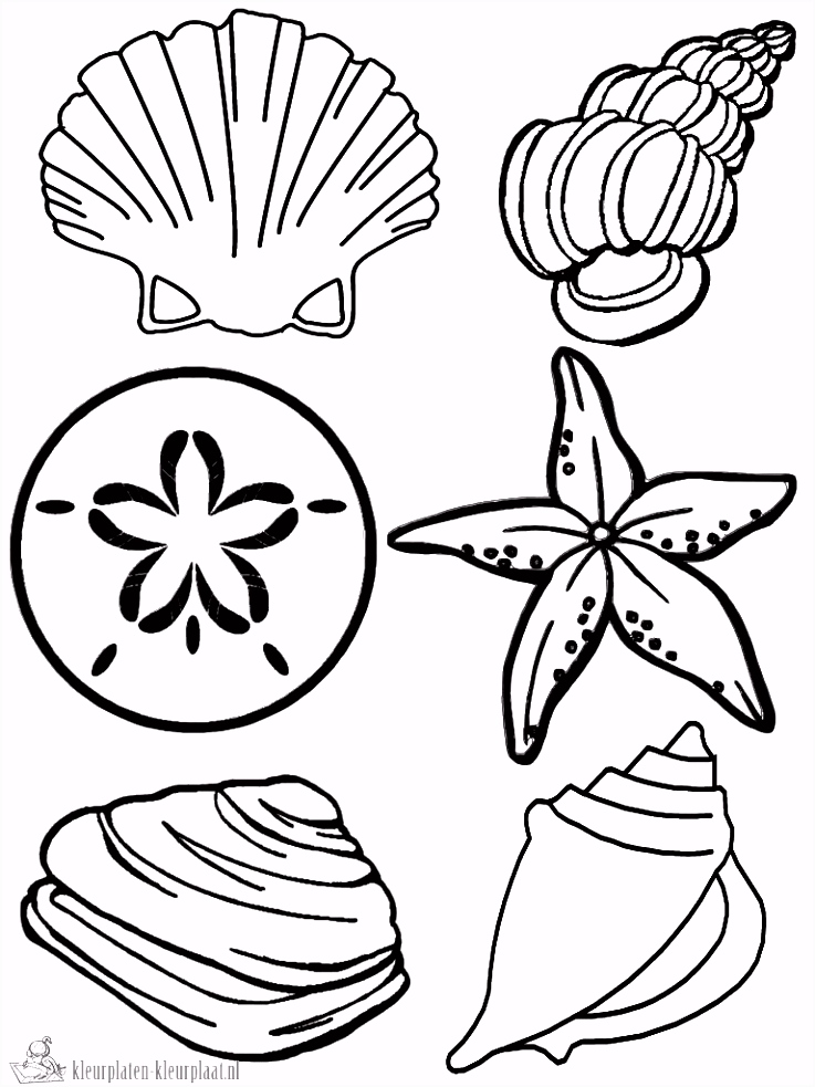 Kleurplaten Patrick Zeester Tekening Zeester Archidev E4jj55wlh3 U6xuhsgvdh